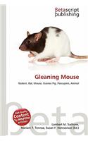 Gleaning Mouse: (English)