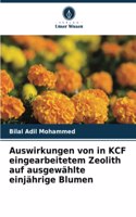 Auswirkungen von in KCF eingearbeitetem Zeolith auf ausgewählte einjährige Blumen