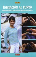 INICIACION AL PUNTO. TECNICAS BASICAS Y 10 PROYECTOS EXPLICADOS PASO A PASO
