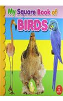 My Square Board Book - Birds