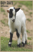 Baby Goats 2021 Calendar