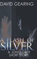 Flash of Silver