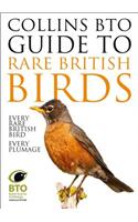 Collins BTO Guide to Rare British Birds