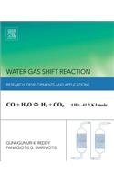 Water Gas Shift Reaction