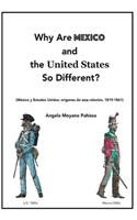 Why Are Mexico and the United States So Different?
