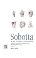 Sobotta Tables of Muscles, Joints and Nerves, English