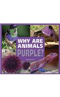 Why Are Animals Purple?