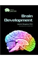 Brain Development