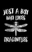 Just A Boy Who Loves Dragonflies: Animal Nature Collection