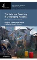 Informal Economy in Developing Nations