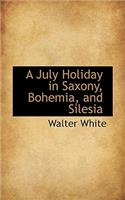 A July Holiday in Saxony, Bohemia, and Silesia