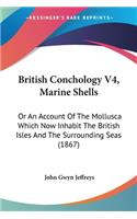 British Conchology V4, Marine Shells