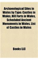 Archaeological Sites in Wales by Type