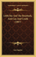 Little Rie And The Rosebuds, And Can And Could (1867)
