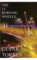 12 Burning Wheels