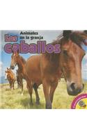 Los Caballos