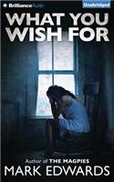 What You Wish for