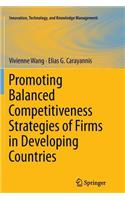 Promoting Balanced Competitiveness Strategies of Firms in Developing Countries