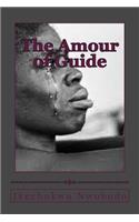 Amour of Guide