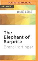 Elephant of Surprise