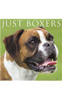 Just Boxers 2020 Wall Calendar (Dog Breed Calendar)