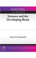 Seizures and the Developing Brain