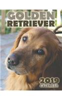 Golden Retriever 2019 Calendar
