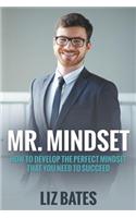 Mr. Mindset