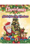 Christmas Adult Color By Numbers