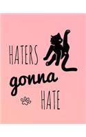 Haters Gonna Hate