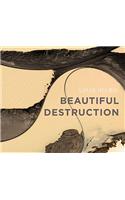 Beautiful Destruction