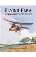 Flying Flea; Henri Mignet's Pou-du-Ciel
