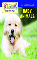 Baby Animals
