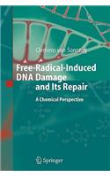 Free-Radical-Induced DNA Damage and Its Repair
