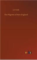 Pilgrims of New England