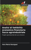 Analisi di fattibilità economico-finanziaria Succo agroindustriale