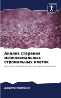 Анализ старения мезенхимальных стромаль&