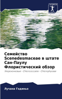 Семейство Scenedesmaceae в штате Сан-Паулу Флористиче&#108
