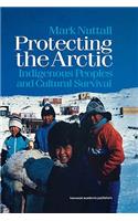 Protecting the Arctic