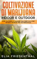 COLTIVAZIONE DI MARIJUANA indoor e outdoor