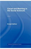 Cause and Meaning in the Social Sciences