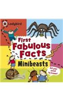 Minibeasts: Ladybird First Fabulous Facts
