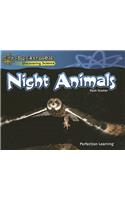 Night Animals