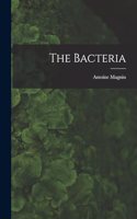 The Bacteria