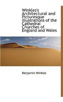 Winkles's Architectural and Picturesque Illustrations of the Cathedral Churches of England and Wales: (English)