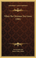 Where The Christmas Tree Grows (1903)