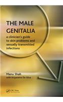 The Male Genitalia