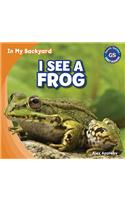 I See a Frog