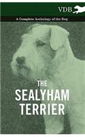 Sealyham Terrier - A Complete Anthology of the Dog