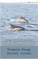 Voyager alternatif et gratos comme les dauphins